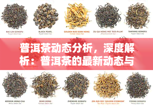 普洱茶动态分析，深度解析：普洱茶的最新动态与市场趋势分析