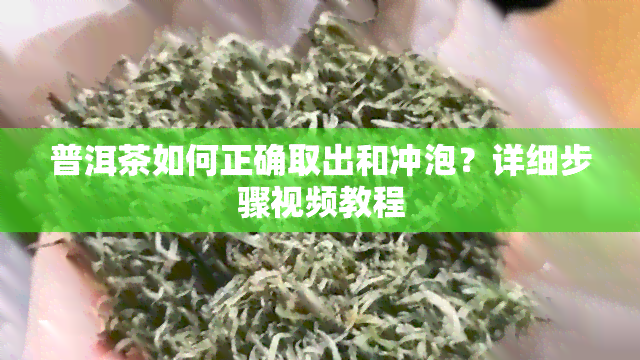 普洱茶如何正确取出和冲泡？详细步骤视频教程