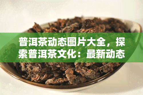 普洱茶动态图片大全，探索普洱茶文化：最新动态图片大全