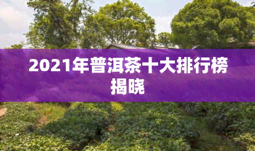 2021年普洱茶十大排行榜揭晓