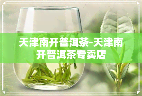 天津南开普洱茶-天津南开普洱茶专卖店