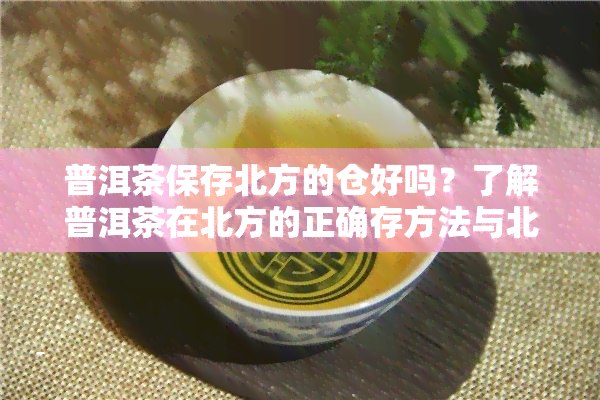 普洱茶保存北方的仓好吗？了解普洱茶在北方的正确存方法与北方仓的位置