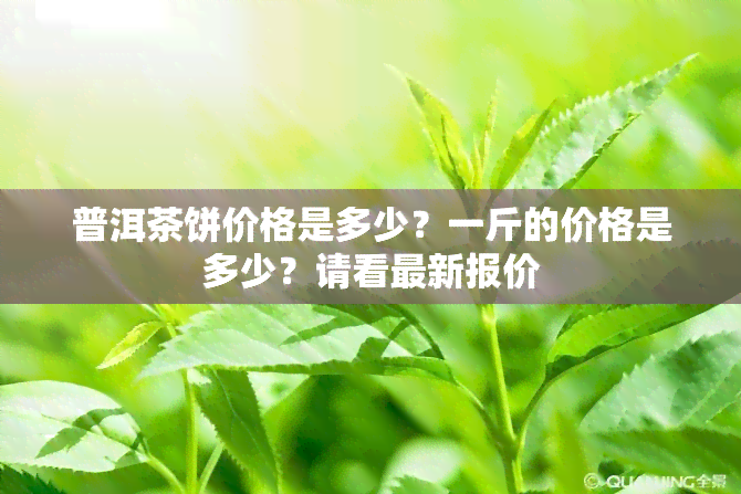 普洱茶饼价格是多少？一斤的价格是多少？请看最新报价