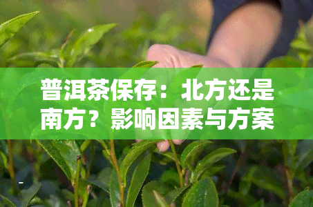 普洱茶保存：北方还是南方？影响因素与方案探讨