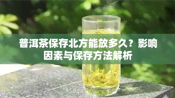 普洱茶保存北方能放多久？影响因素与保存方法解析