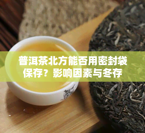 普洱茶北方能否用密封袋保存？影响因素与冬存