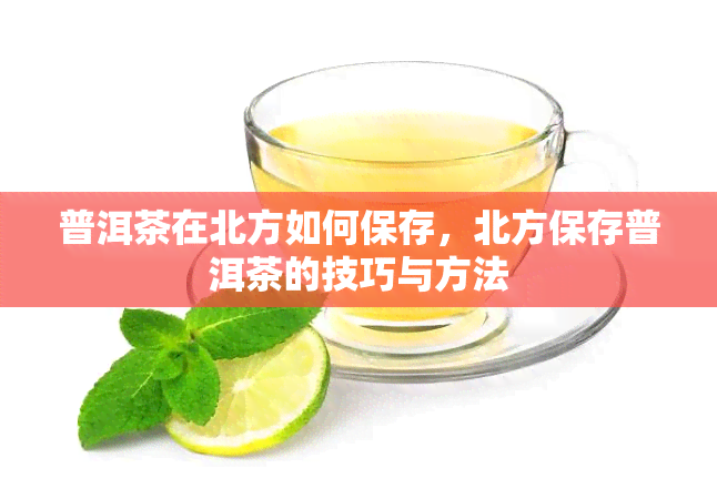 普洱茶在北方如何保存，北方保存普洱茶的技巧与方法