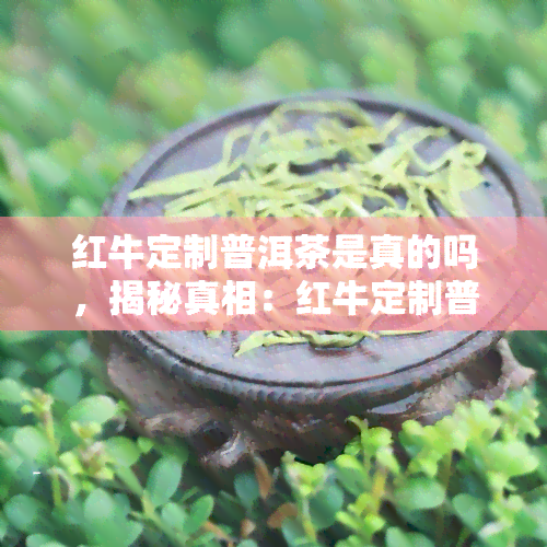 红牛定制普洱茶是真的吗，揭秘真相：红牛定制普洱茶是否属实？