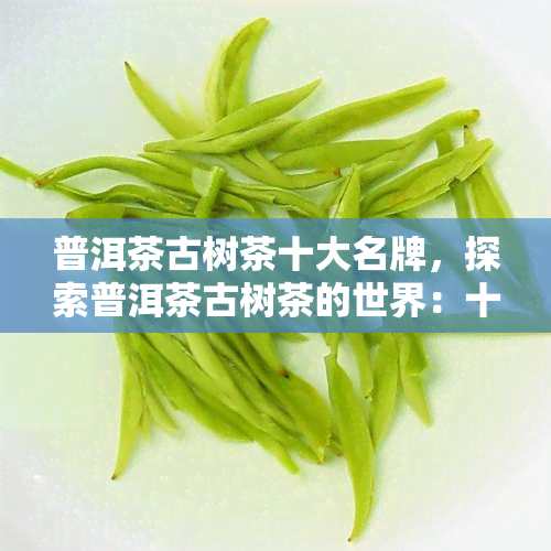 普洱茶古树茶十大名牌，探索普洱茶古树茶的世界：十大名牌推荐