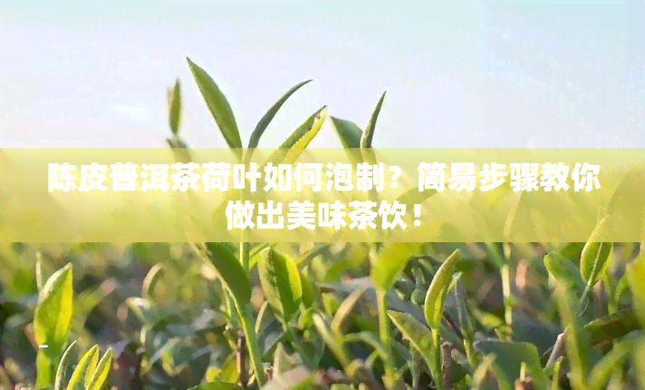 陈皮普洱茶荷叶如何泡制？简易步骤教你做出美味茶饮！