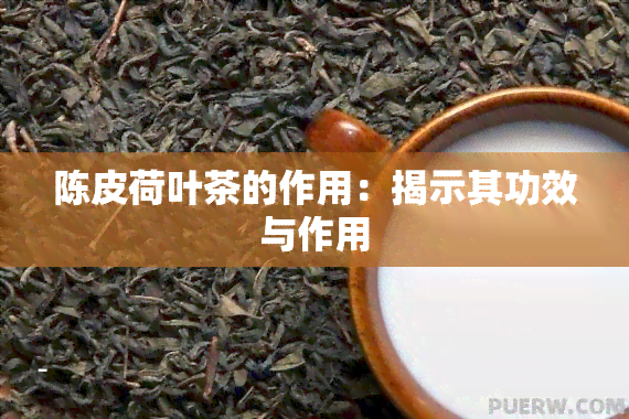 陈皮荷叶茶的作用：揭示其功效与作用