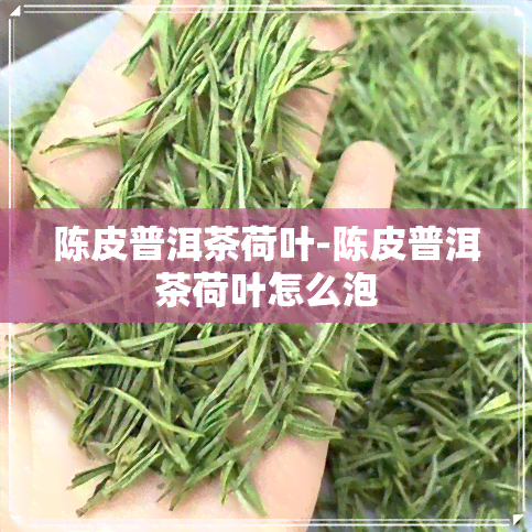 陈皮普洱茶荷叶-陈皮普洱茶荷叶怎么泡