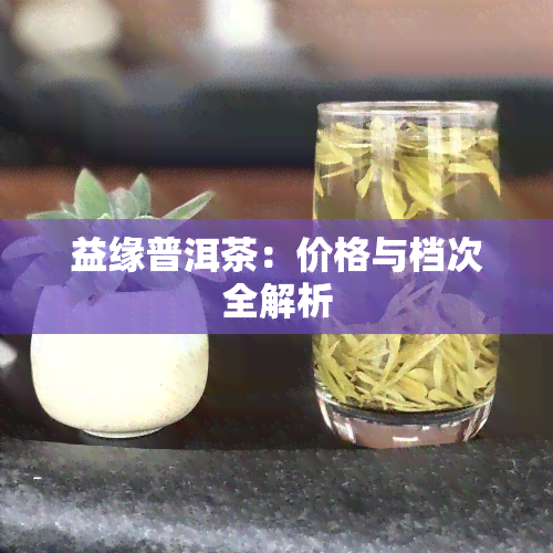 益缘普洱茶：价格与档次全解析