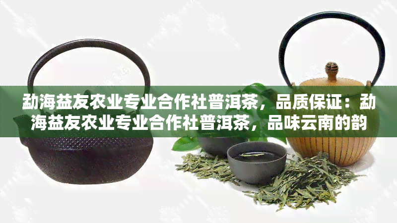 勐海益友农业专业合作社普洱茶，品质保证：勐海益友农业专业合作社普洱茶，品味云南的韵味