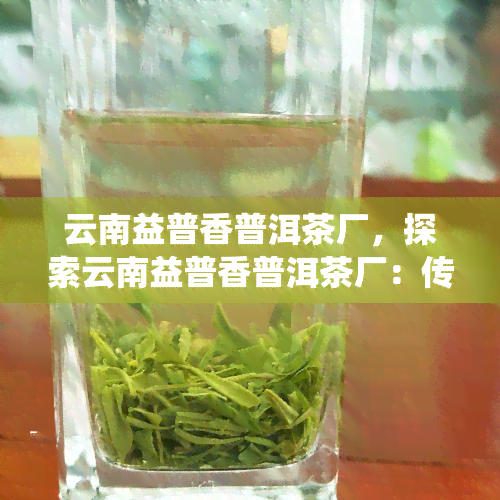 云南益普香普洱茶厂，探索云南益普香普洱茶厂：传统工艺与现代科技的完美结合