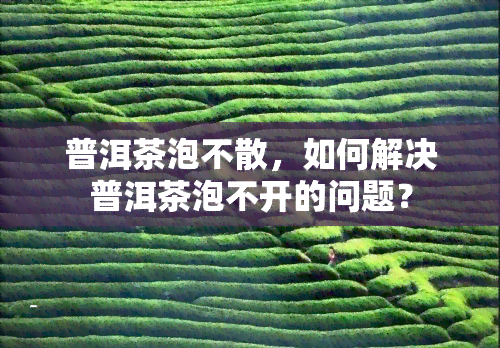 普洱茶泡不散，如何解决普洱茶泡不开的问题？