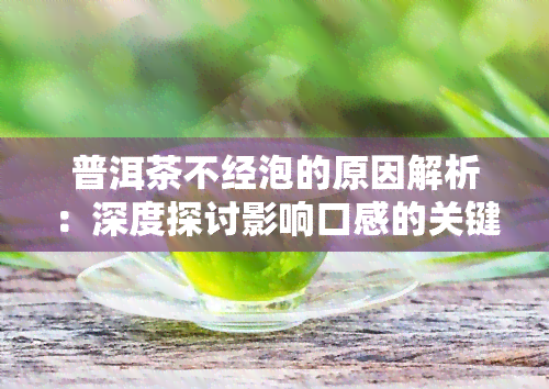 普洱茶不经泡的原因解析：深度探讨影响口感的关键因素