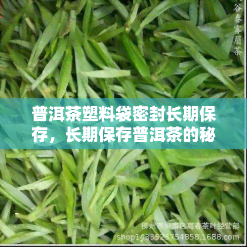 普洱茶塑料袋密封长期保存，长期保存普洱茶的秘诀：塑料袋密封法