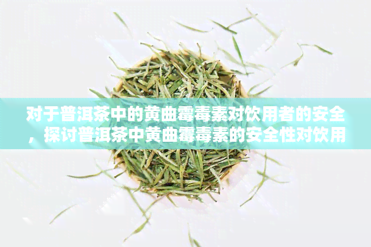 对于普洱茶中的黄曲霉素对饮用者的安全，探讨普洱茶中黄曲霉素的安全性对饮用者的影响