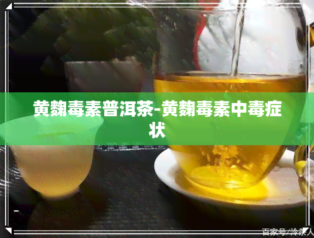 黄麴素普洱茶-黄麴素中症状