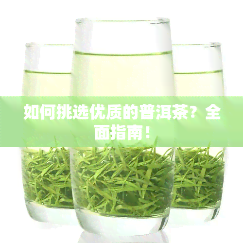 如何挑选优质的普洱茶？全面指南！