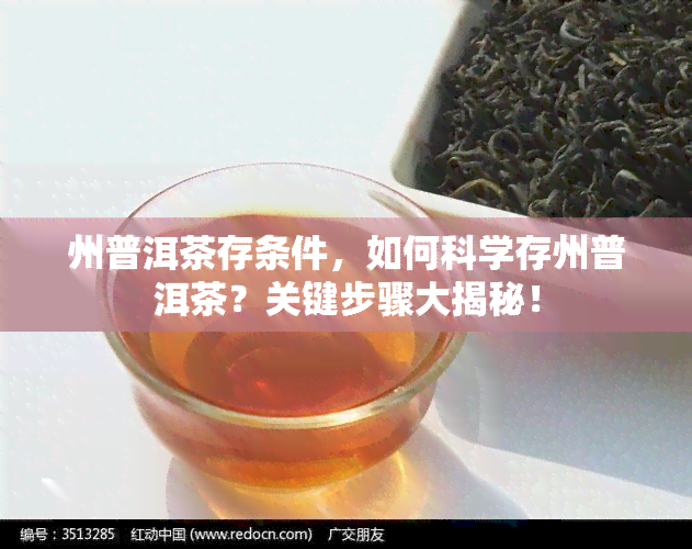 州普洱茶存条件，如何科学存州普洱茶？关键步骤大揭秘！