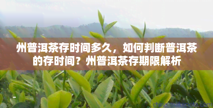 州普洱茶存时间多久，如何判断普洱茶的存时间？州普洱茶存期限解析