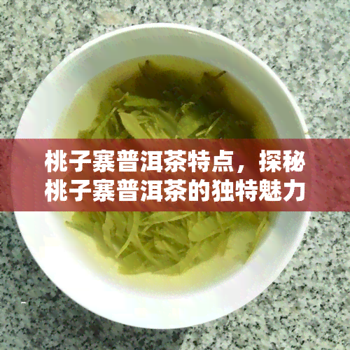 桃子寨普洱茶特点，探秘桃子寨普洱茶的独特魅力与特点