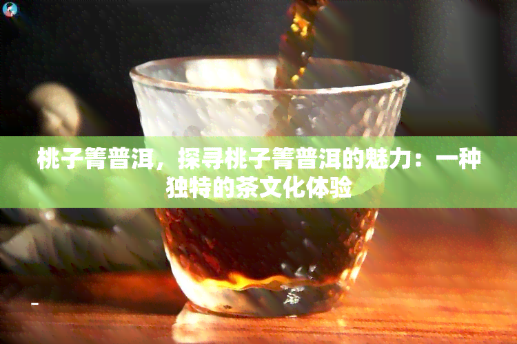 桃子箐普洱，探寻桃子箐普洱的魅力：一种独特的茶文化体验