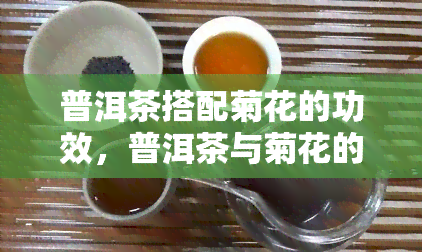 普洱茶搭配菊花的功效，普洱茶与菊花的完美组合：养生新选择