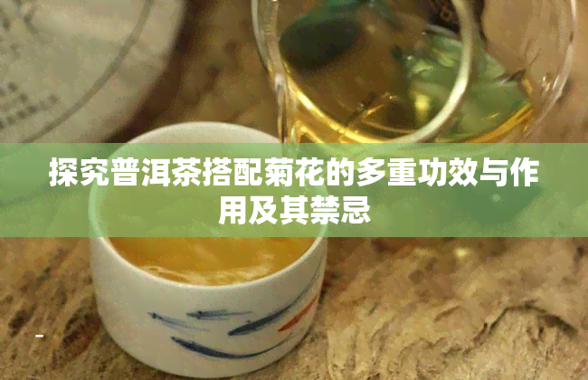 探究普洱茶搭配菊花的多重功效与作用及其禁忌