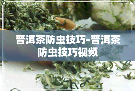 普洱茶防虫技巧-普洱茶防虫技巧视频