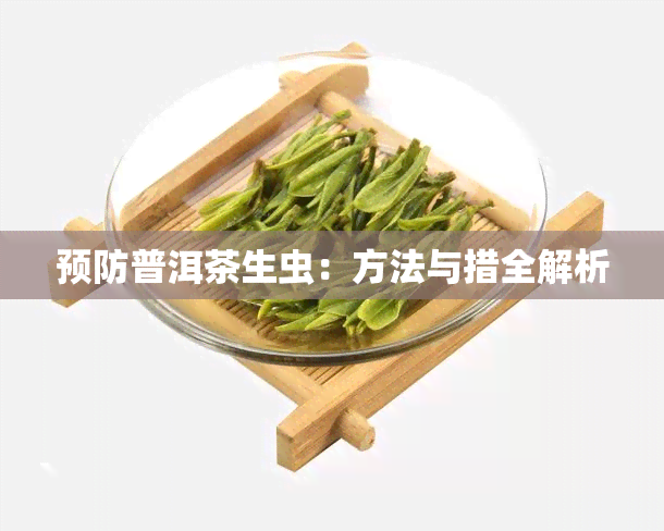 预防普洱茶生虫：方法与措全解析