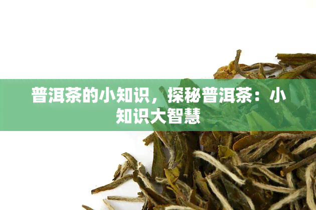 普洱茶的小知识，探秘普洱茶：小知识大智慧