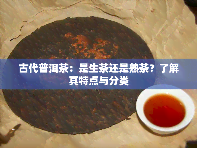 古代普洱茶：是生茶还是熟茶？了解其特点与分类