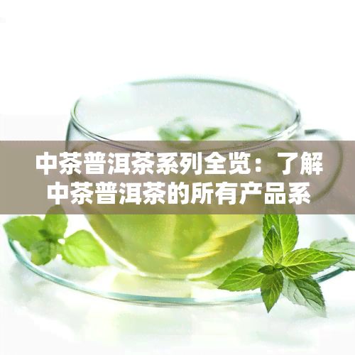 中茶普洱茶系列全览：了解中茶普洱茶的所有产品系列