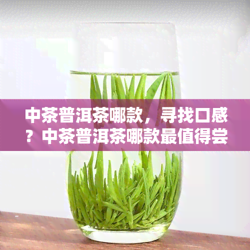 中茶普洱茶哪款，寻找口感？中茶普洱茶哪款最值得尝试？