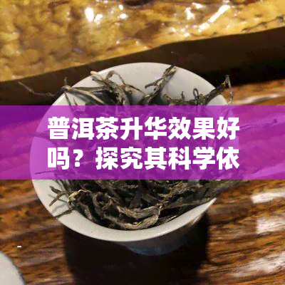 普洱茶升华效果好吗？探究其科学依据与实际表现