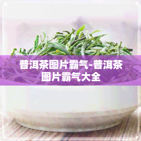 普洱茶图片霸气-普洱茶图片霸气大全