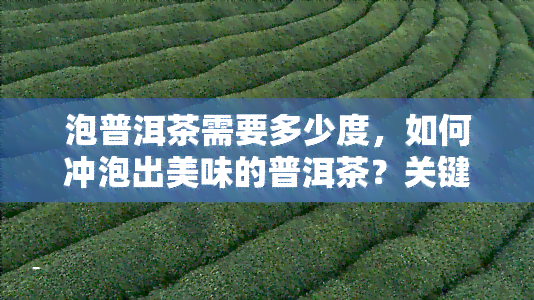 泡普洱茶需要多少度，如何冲泡出美味的普洱茶？关键在于水的选择！