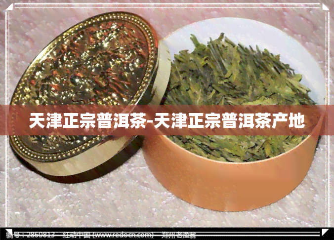 天津正宗普洱茶-天津正宗普洱茶产地