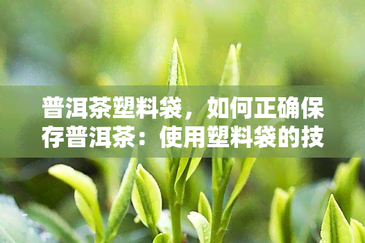 普洱茶塑料袋，如何正确保存普洱茶：使用塑料袋的技巧与注意事