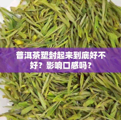 普洱茶塑封起来到底好不好？影响口感吗？