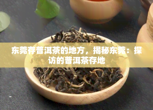 东莞存普洱茶的地方，揭秘东莞：探访的普洱茶存地