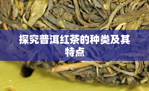 探究普洱红茶的种类及其特点