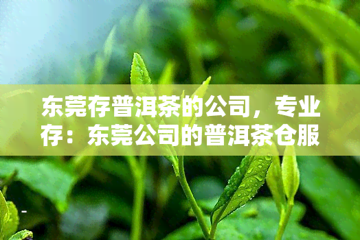 东莞存普洱茶的公司，专业存：东莞公司的普洱茶仓服务