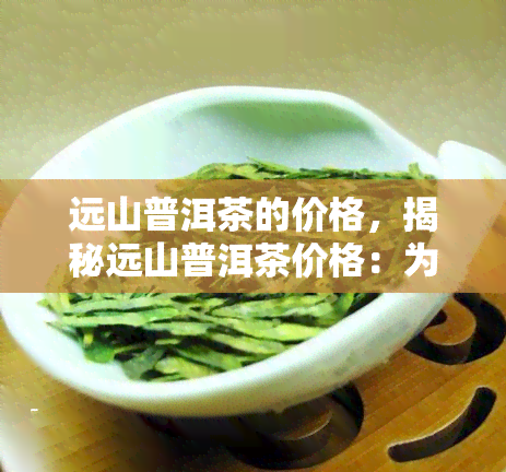 远山普洱茶的价格，揭秘远山普洱茶价格：为何它如此昂贵？