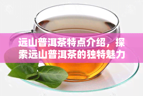 远山普洱茶特点介绍，探索远山普洱茶的独特魅力：特点详细介绍