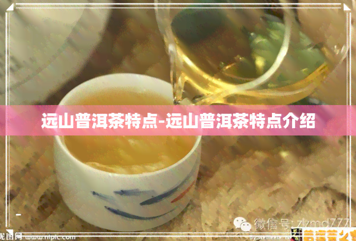 远山普洱茶特点-远山普洱茶特点介绍