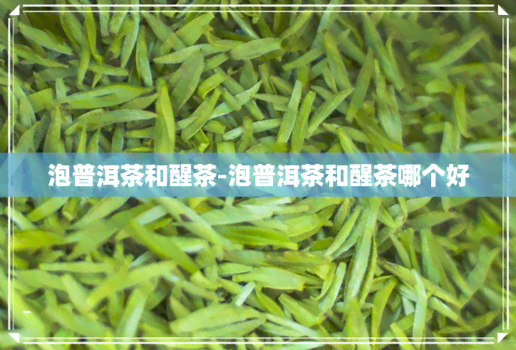 泡普洱茶和醒茶-泡普洱茶和醒茶哪个好